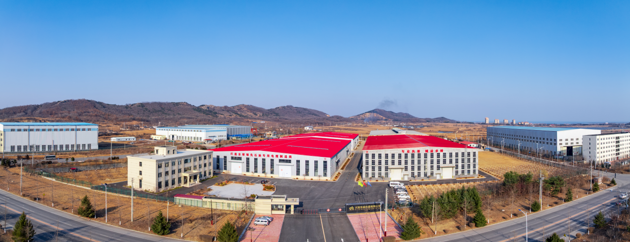 Dalian Dongsheng Cable manufacturing facility